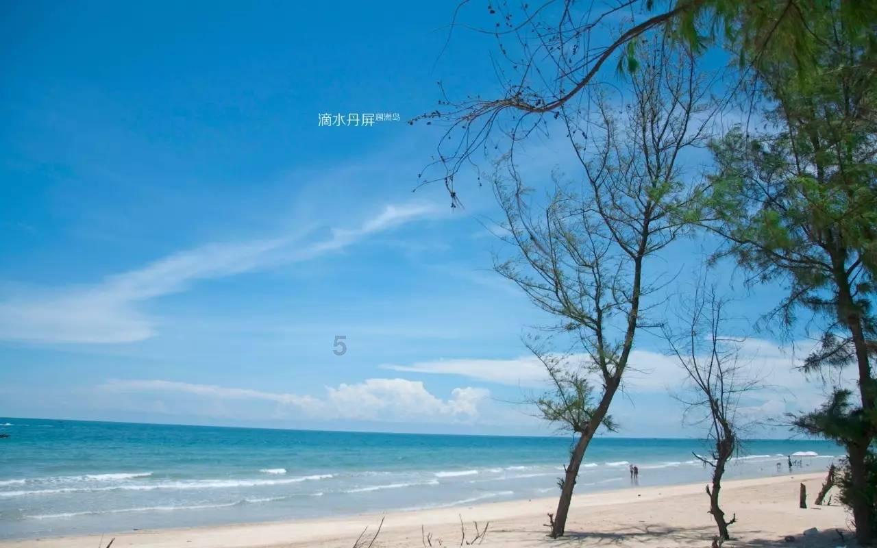 爱旅行的芭比